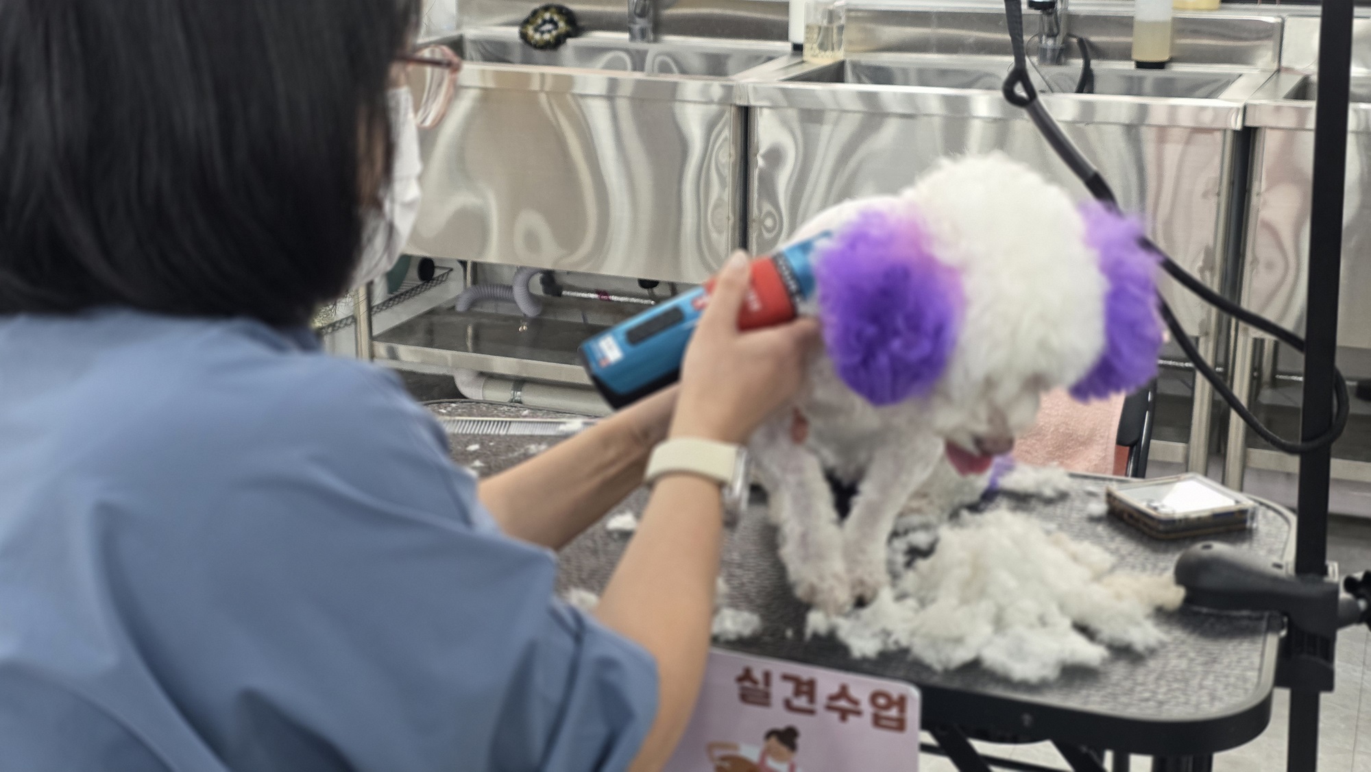 장안구애견미용학원-등록상담