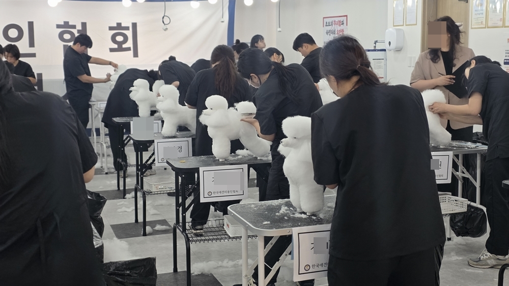 평택-애견미용학원-취업준비