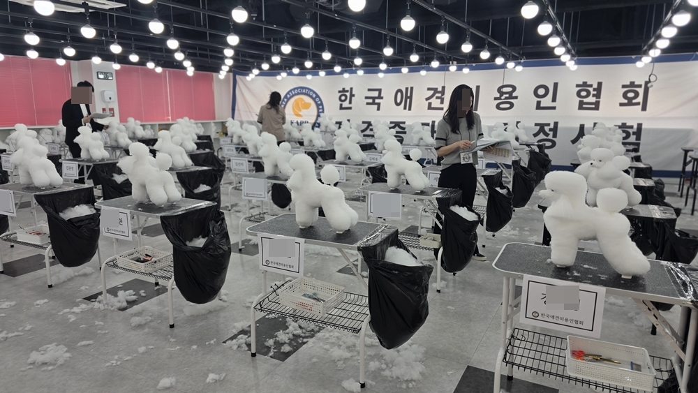 평택-애견미용학원-창업준비