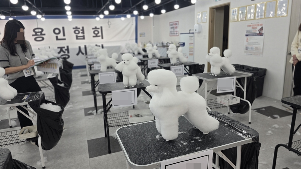평택애견미용학원-선택체크리스트
