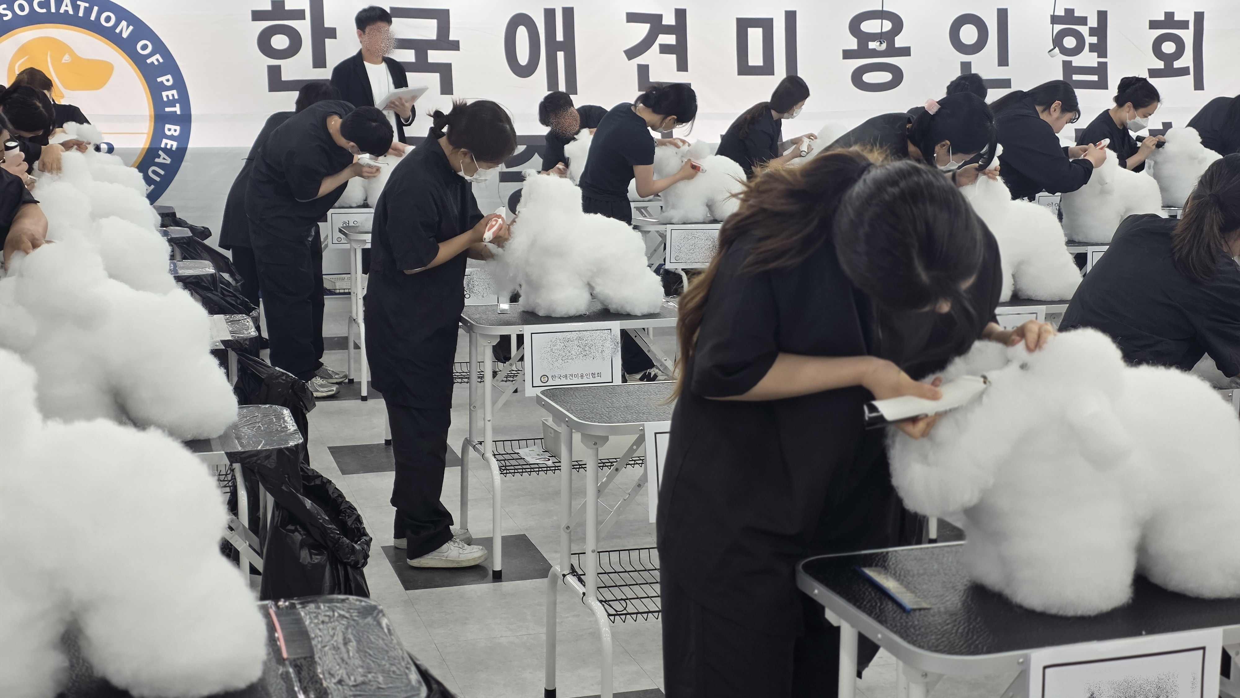 광주-애견미용학원-연맹교육지원