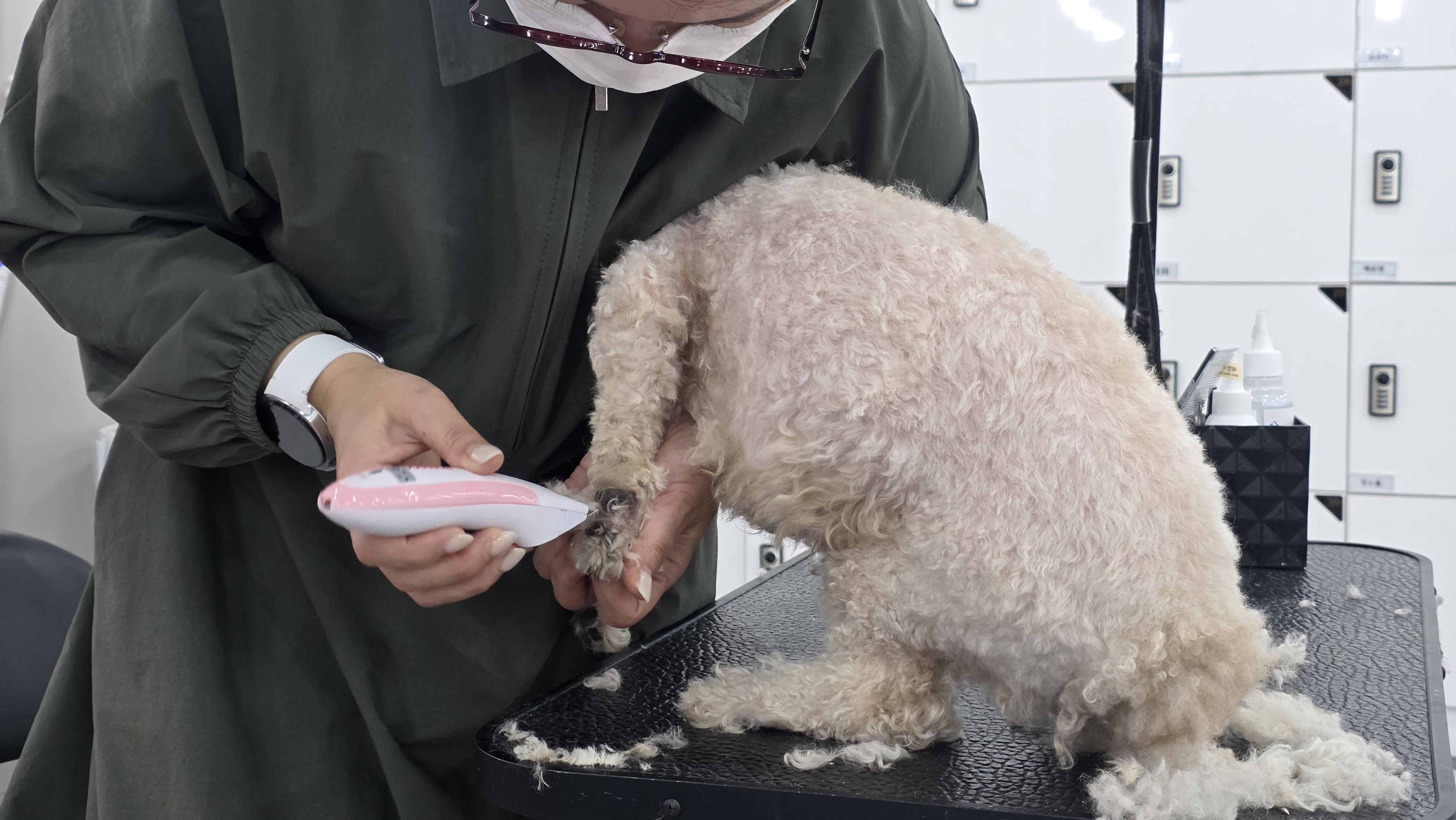 노원 애견미용학원 수강료 비교