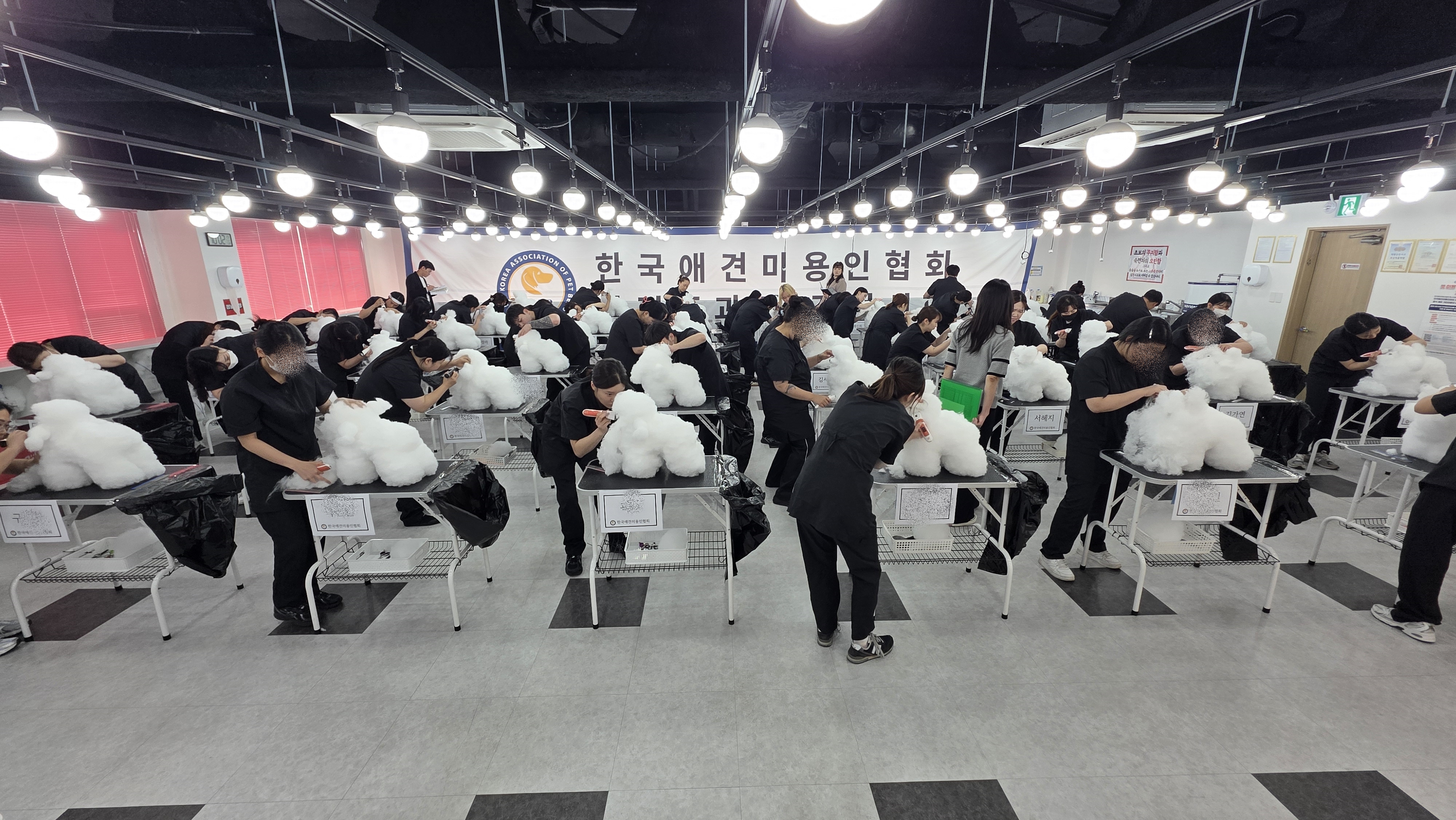 애견미용자격증2급