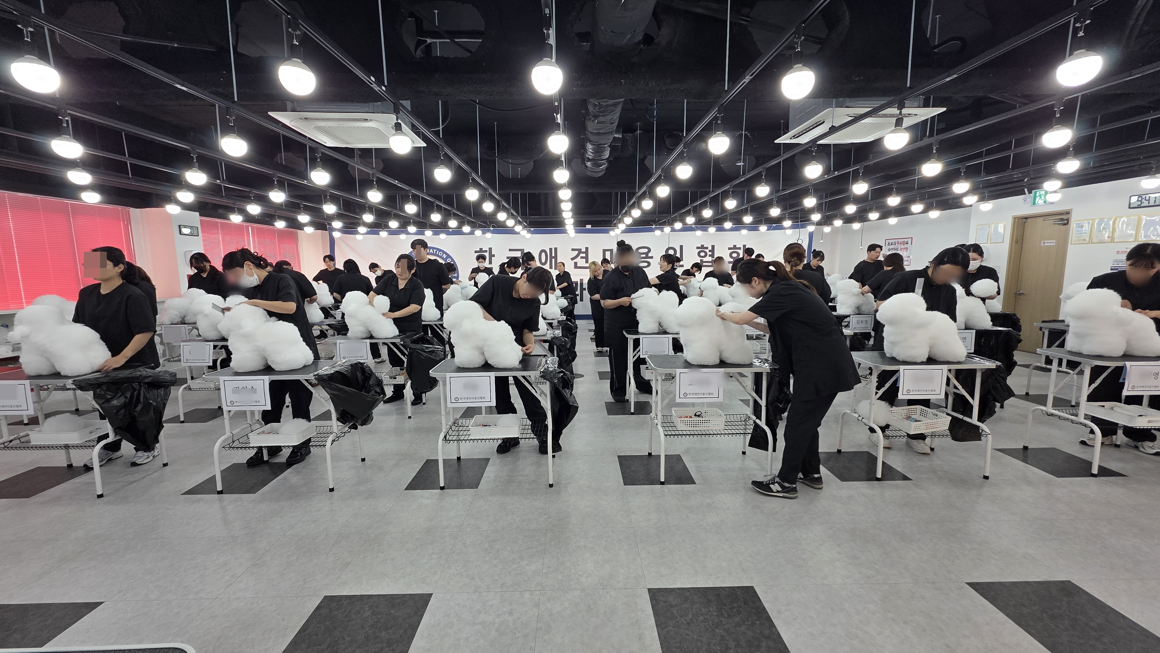 김포 애견미용학원 사무직 이직