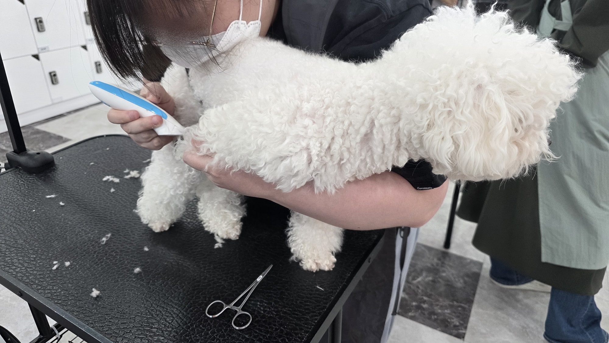 수영 애견미용학원 연맹 교육지원