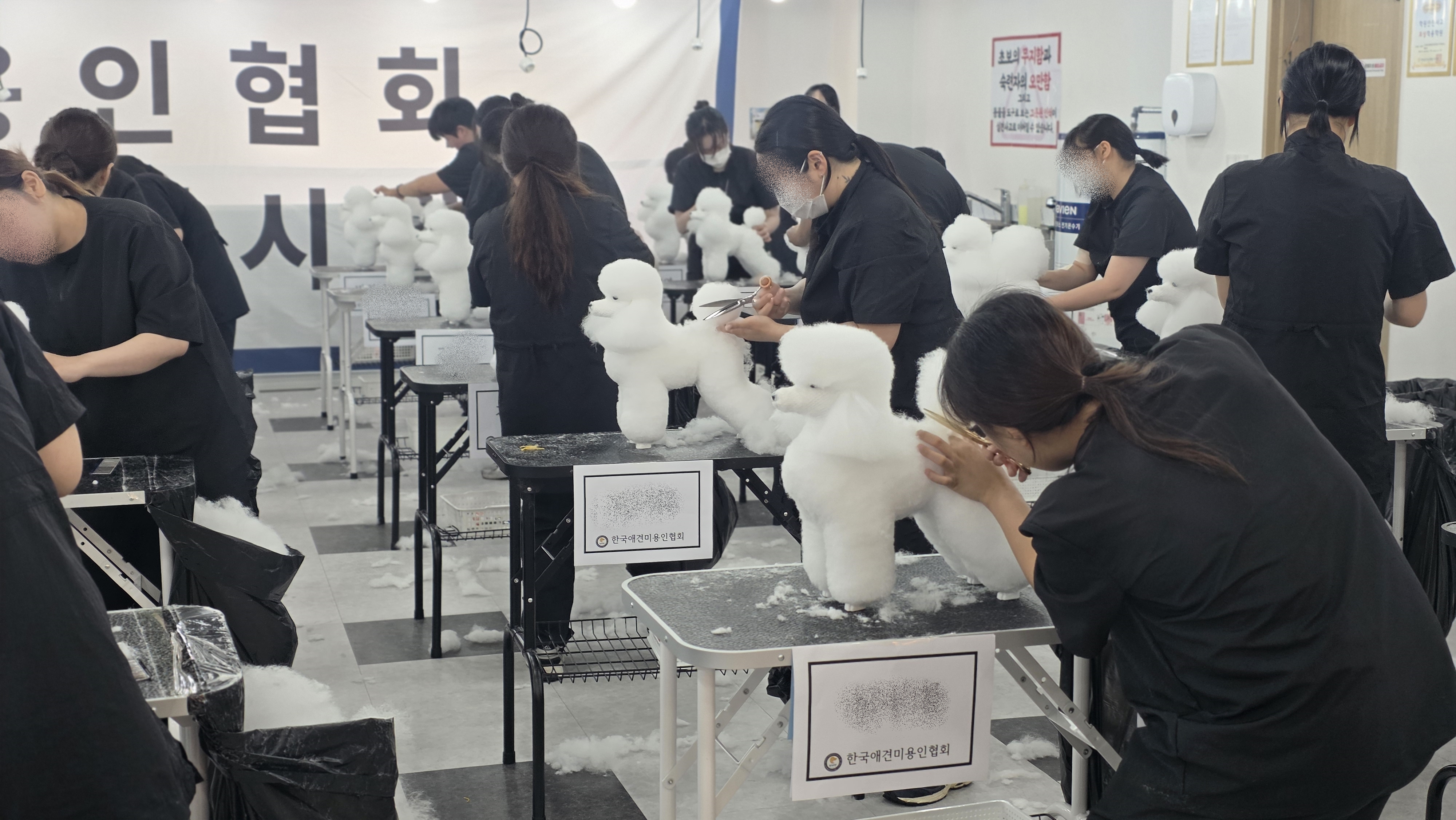 애견미용자격증 선택 체크리스트