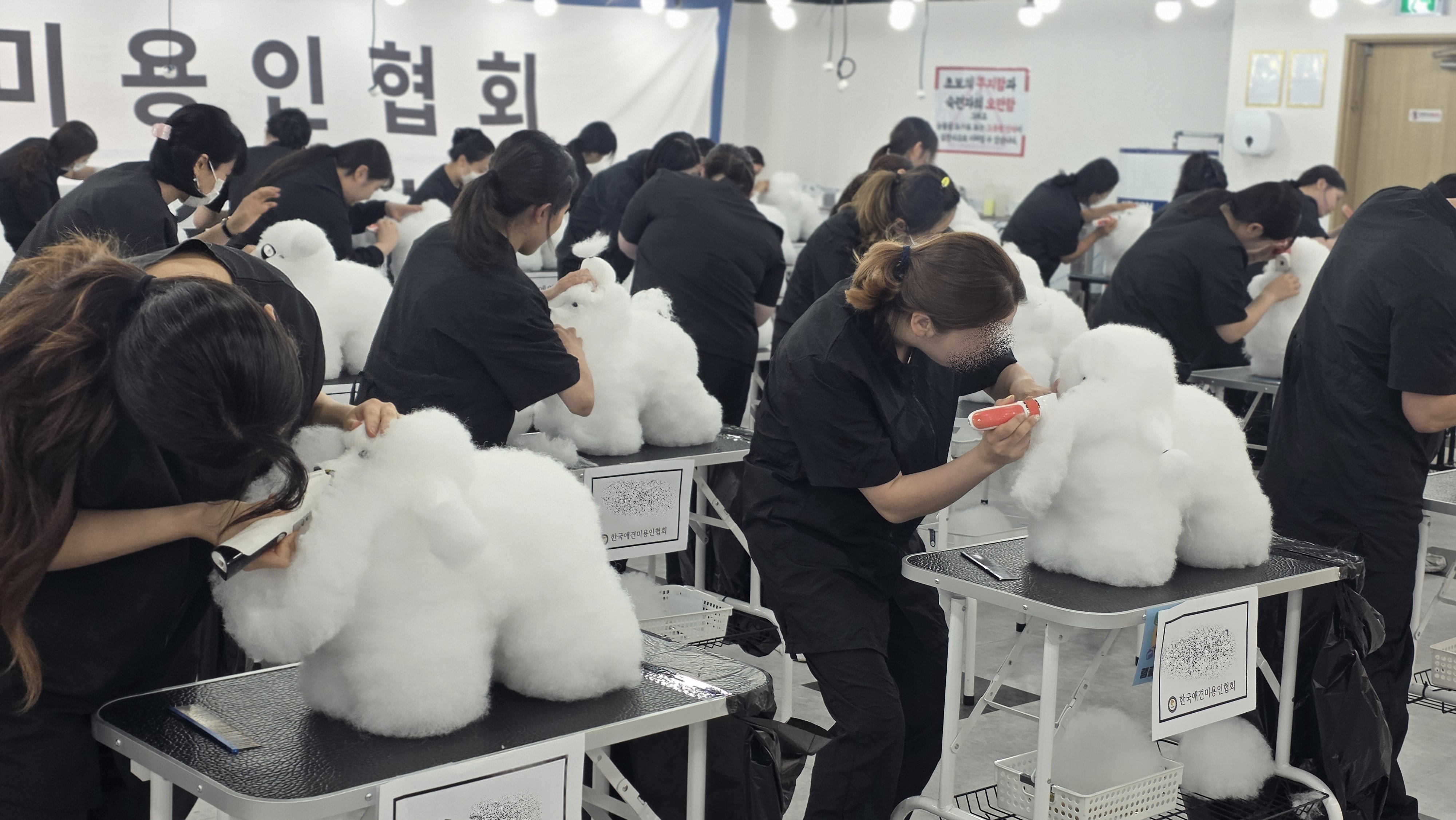 구미애견미용학원 비용