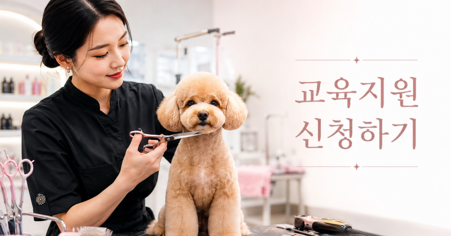 이바우펫 애견미용학원